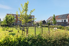 Saffier 69-46.jpg